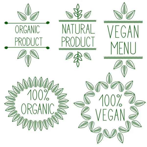 Organic Bio Modelo Design Natural — Vetor de Stock