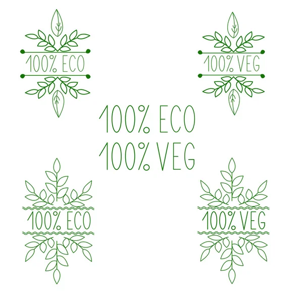 Menú Vegetariano Vegano Eco 100 Bio Productos — Vector de stock