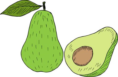 avokado çizimi renkli