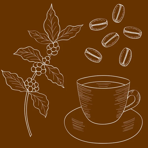 Coffee Branch Bean Cup Set — Stock Vector