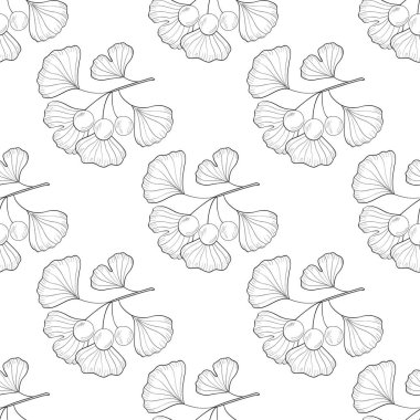 Ginkgo Biloba, kusursuz 1