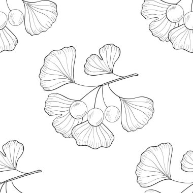 Ginkgo Biloba, kusursuz 3