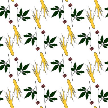 ginseng 2 renkli, dikişsiz 1