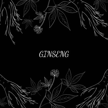 ginseng arkaplan 1 izol