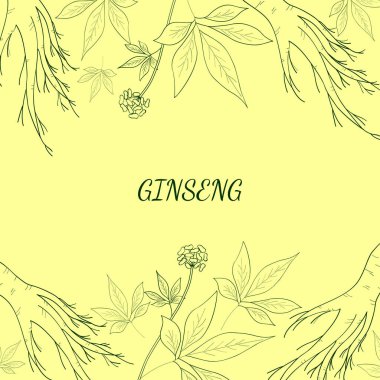 ginseng arkaplan 1 izol