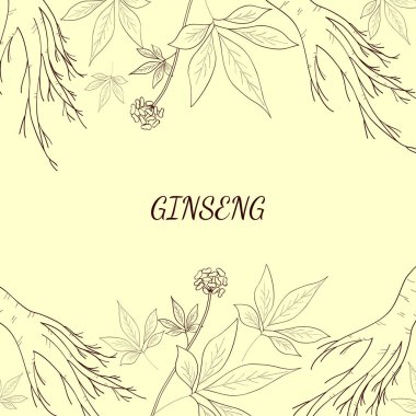 ginseng arkaplan 1 çizimi