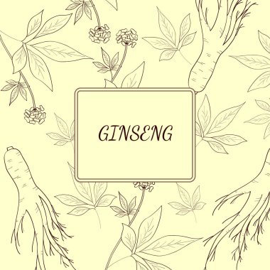 ginseng arkaplan 2 çizimi