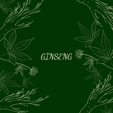 ginseng arkaplan 1 izol