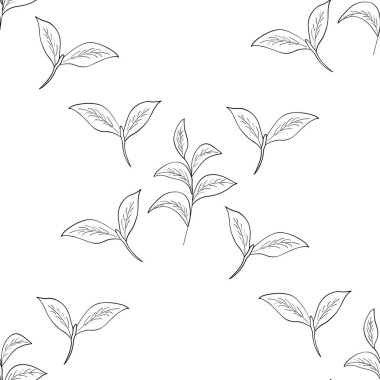 Green tea leaf illustration, seamless 3 clipart