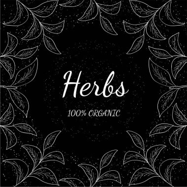 Yeşil çay, bitki eskizi.