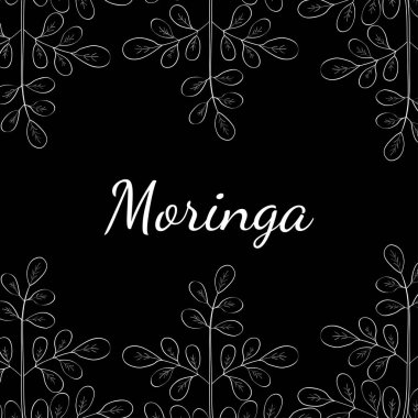 Moringa oleifera, Sınır 1