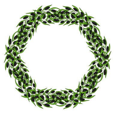 Zeytin çelengi ve el çizimi çizim çizimi çizim 2