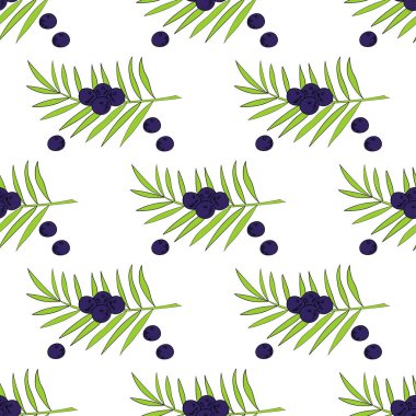 2 renkli kusursuz Acai palmiyesi