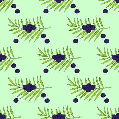 2 renkli kusursuz Acai palmiyesi