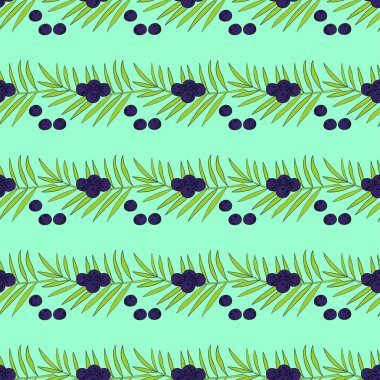 Renkli Acai palmiyesi.