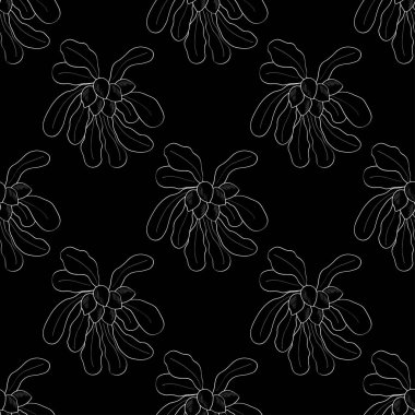 Shea ağacı, pürüzsüz 3