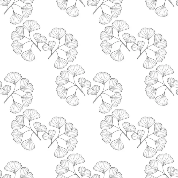 Ginkgo Biloba, yapraklar, pürüzsüz 4