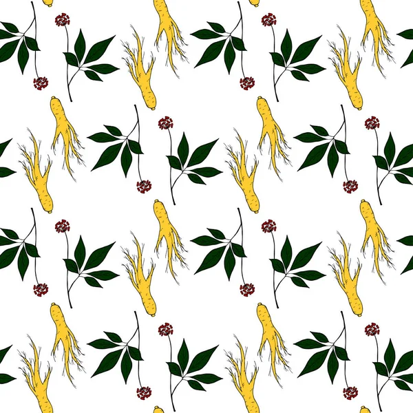 ginseng 2 renkli, dikişsiz 1