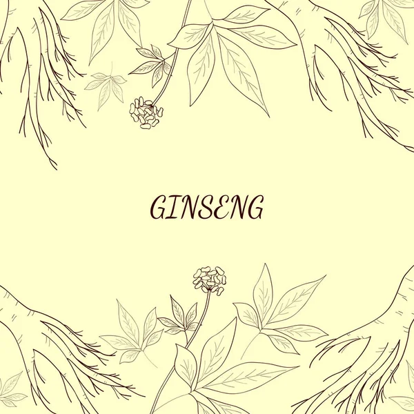 ginseng arkaplan 1 çizimi