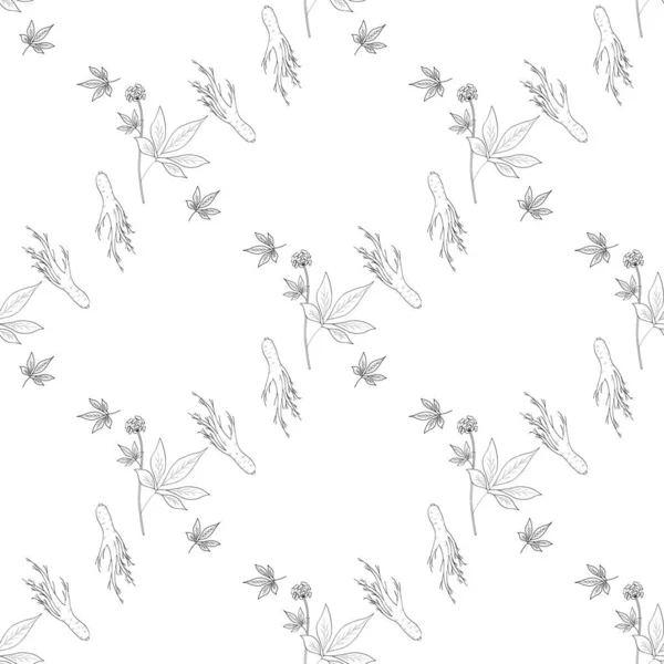 Ginseng Sans Couture Croquis — Image vectorielle