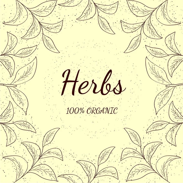 Verde Hierbas Isol — Vector de stock