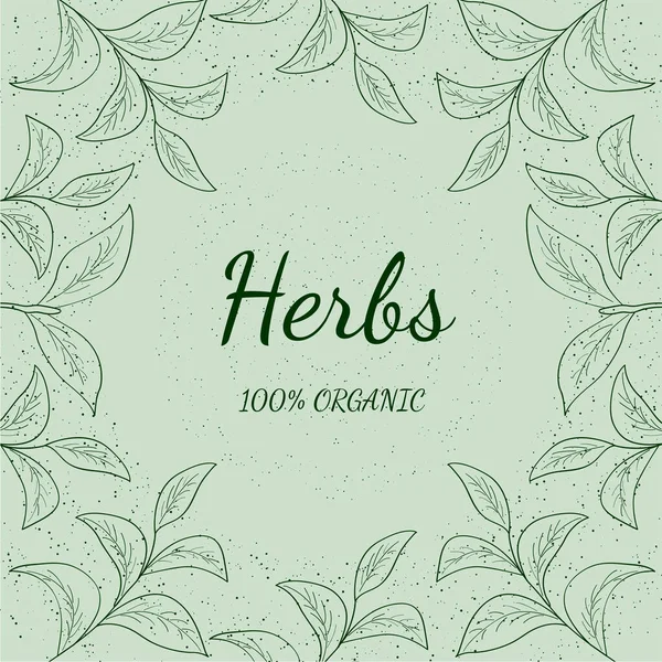 Yeşil çay, otlar isol