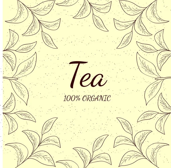 Green Tea Template Sketch — Stock Vector