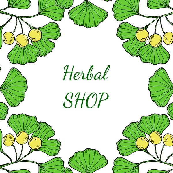 Tienda Hierbas Ginkgo Color — Vector de stock