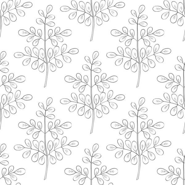 Moringa Oleifera 无缝2 — 图库矢量图片