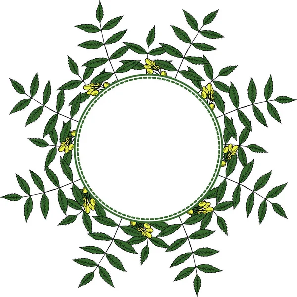 Neem Kleur Frame — Stockvector