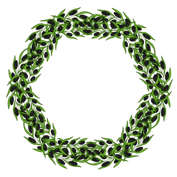 Zeytin çelengi ve el çizimi çizim çizimi çizim 2