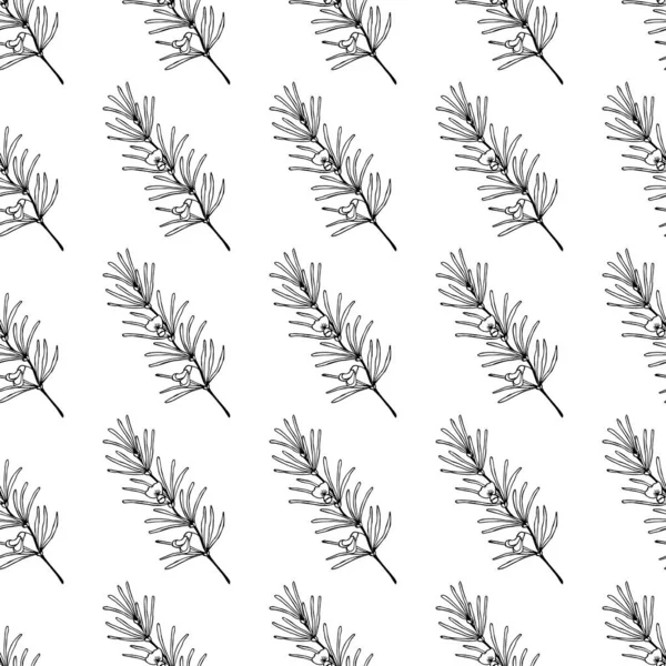 Dikensiz 2 beyaz çatı.