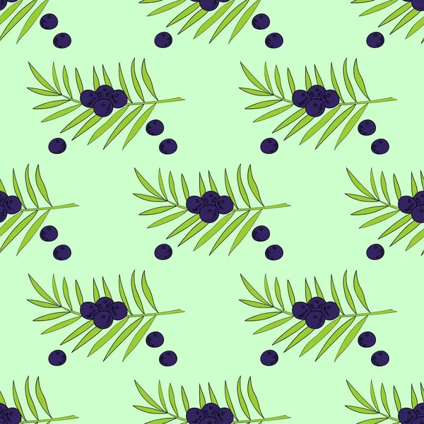 2 renkli kusursuz Acai palmiyesi