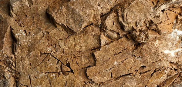 Textured Rock Close — Stock Photo, Image