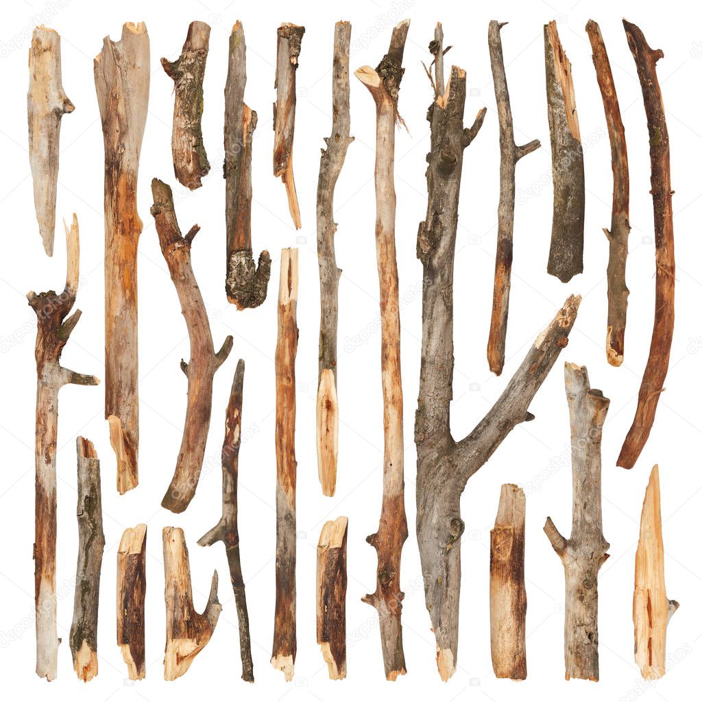 Set of tree sticks isolated on white background