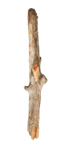배경에 부러진된 나뭇가지 — 스톡 사진