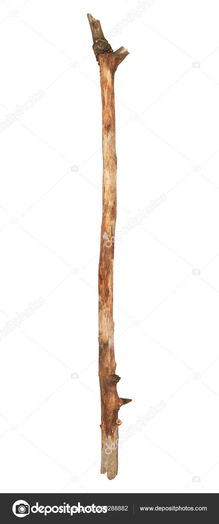 Dry Wood Stick Isolated White Background Stock Photo by