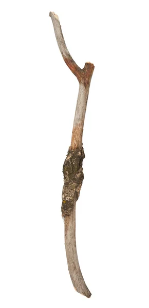 白い背景に分離された壊れた木棒 — ストック写真