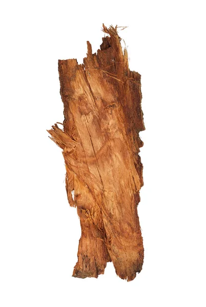 Dry Tree Bark Isolated White Background — Stock Photo, Image