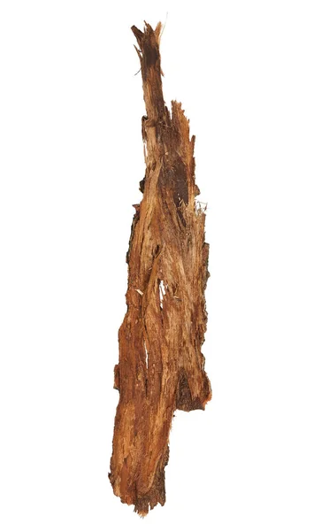 Bark Tree Isolated White Background — Stock Photo, Image