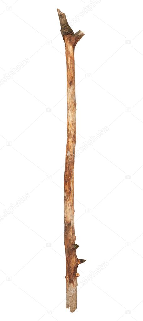 dry wood stick isolated on white background