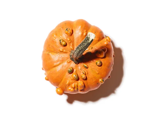 Zucca Arancione Sfondo Bianco — Foto Stock