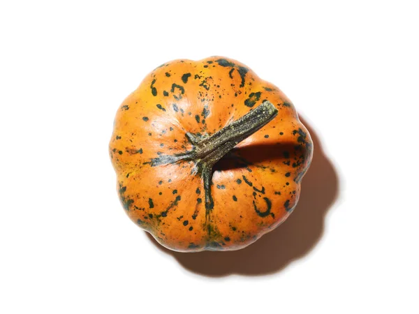 Orange Pumpkin White Background — Stock Photo, Image