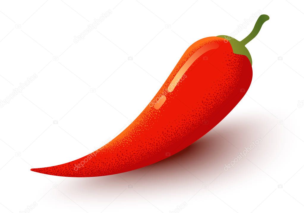 Vector chilli pepper in retro style. Vector vintage emblem with red chili pepper. Chilli logo