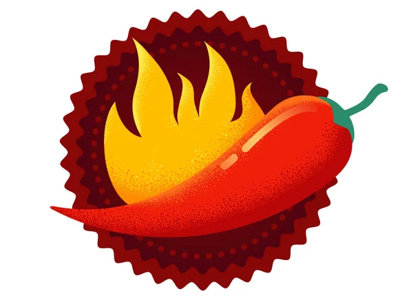 Vector Chilli Pepper Retro Style Vector Vintage Emblem Redchili Pepper — Stock Vector