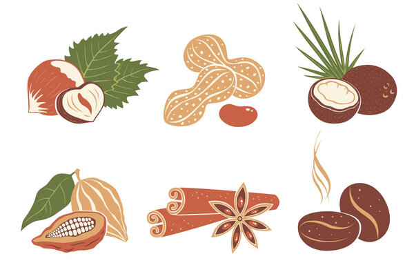 Vector set nuts icons. Coffee beans, coconut, star anise, cinnamon, cocoa and  peanuts.