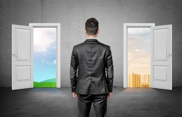 Zadní pohled na podnikatel, volba mezi dvěma dveřmi, s zelené louce a bytový. — Stock fotografie
