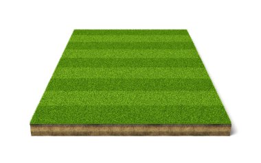 yeşil çimenlerin üzerinde beyaz bir arka plan ile izole spor alanının 3B oluşturma.