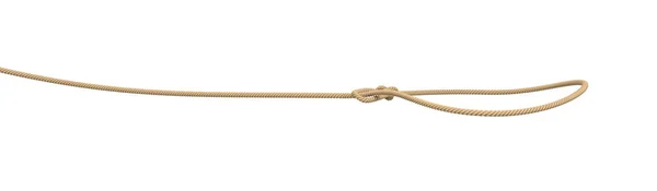 3D-Darstellung eines Seils, das in einem Lasso gebunden ist und auf weißem Hintergrund fliegt. — Stockfoto
