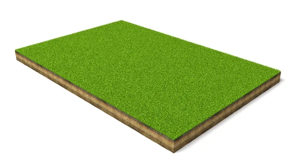 3D-Darstellung eines isolierten Sportplatzes mit grünem Gras auf weißem Hintergrund. — Stockfoto